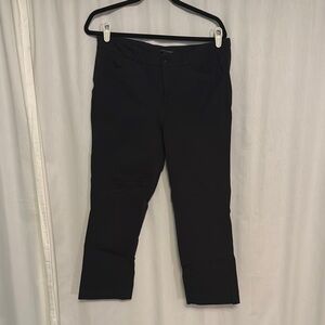 Banana Republic Work Pant/Trousers